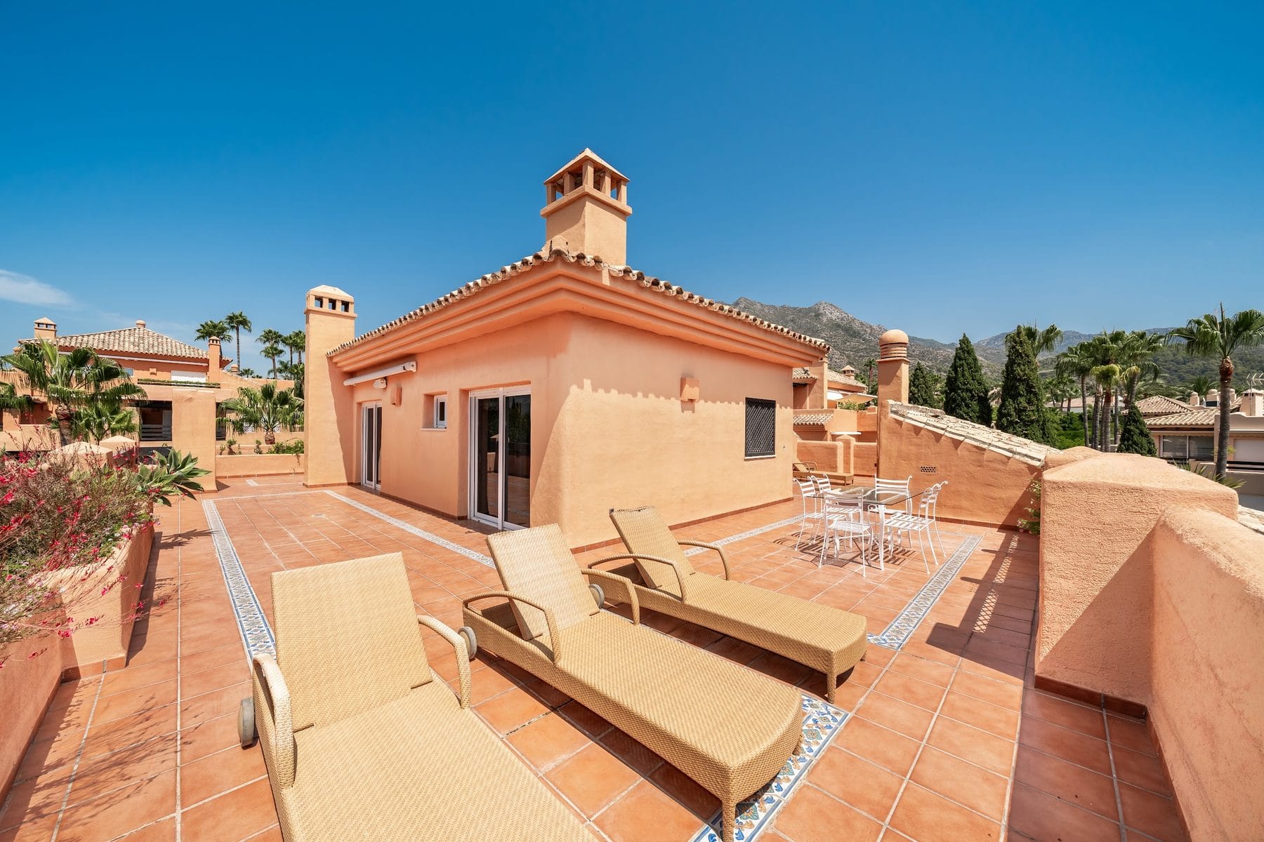 The roof terrace